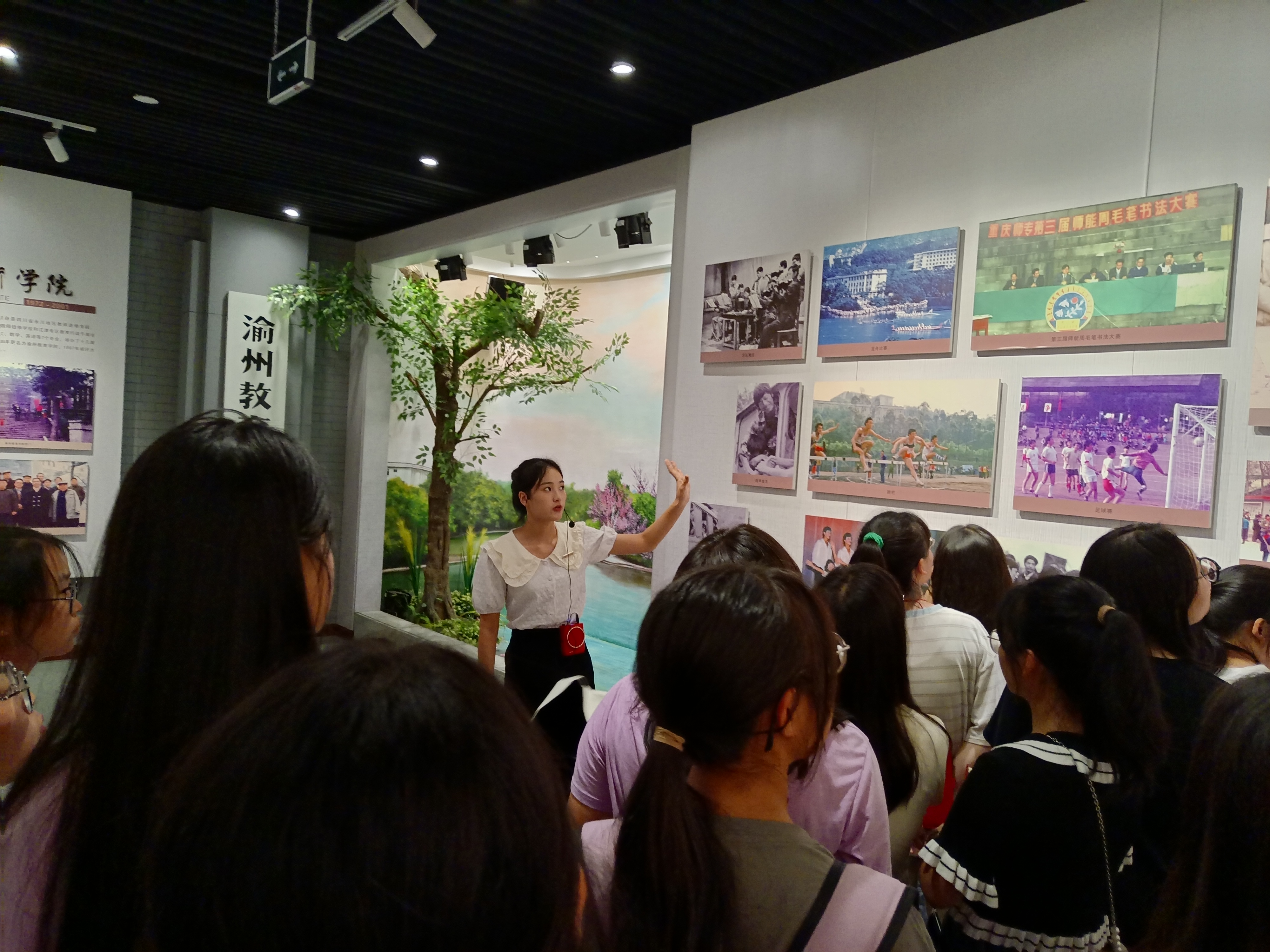 Image_1694409430871.jpg