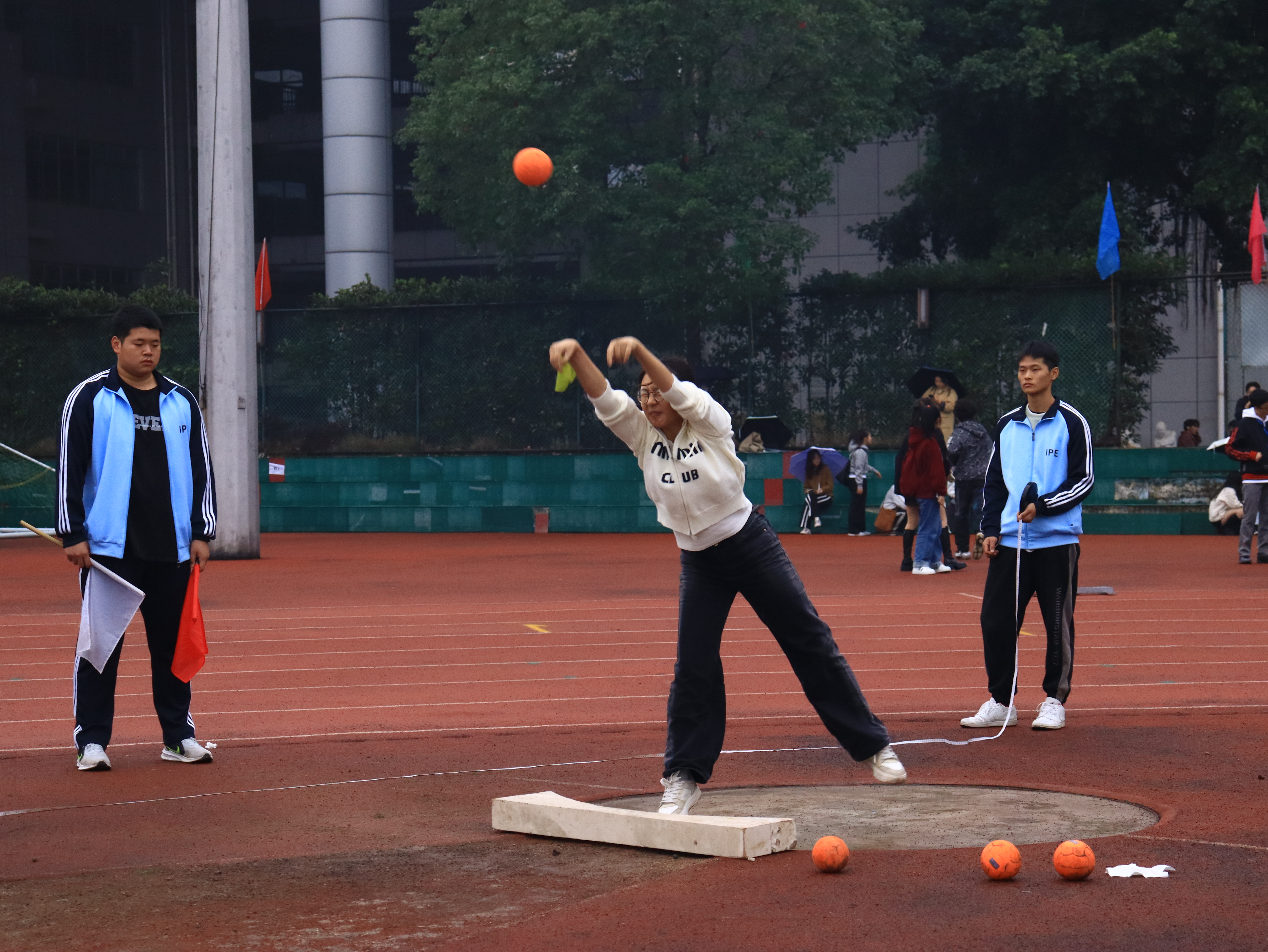 DXTA_1731372724743071237.jpg