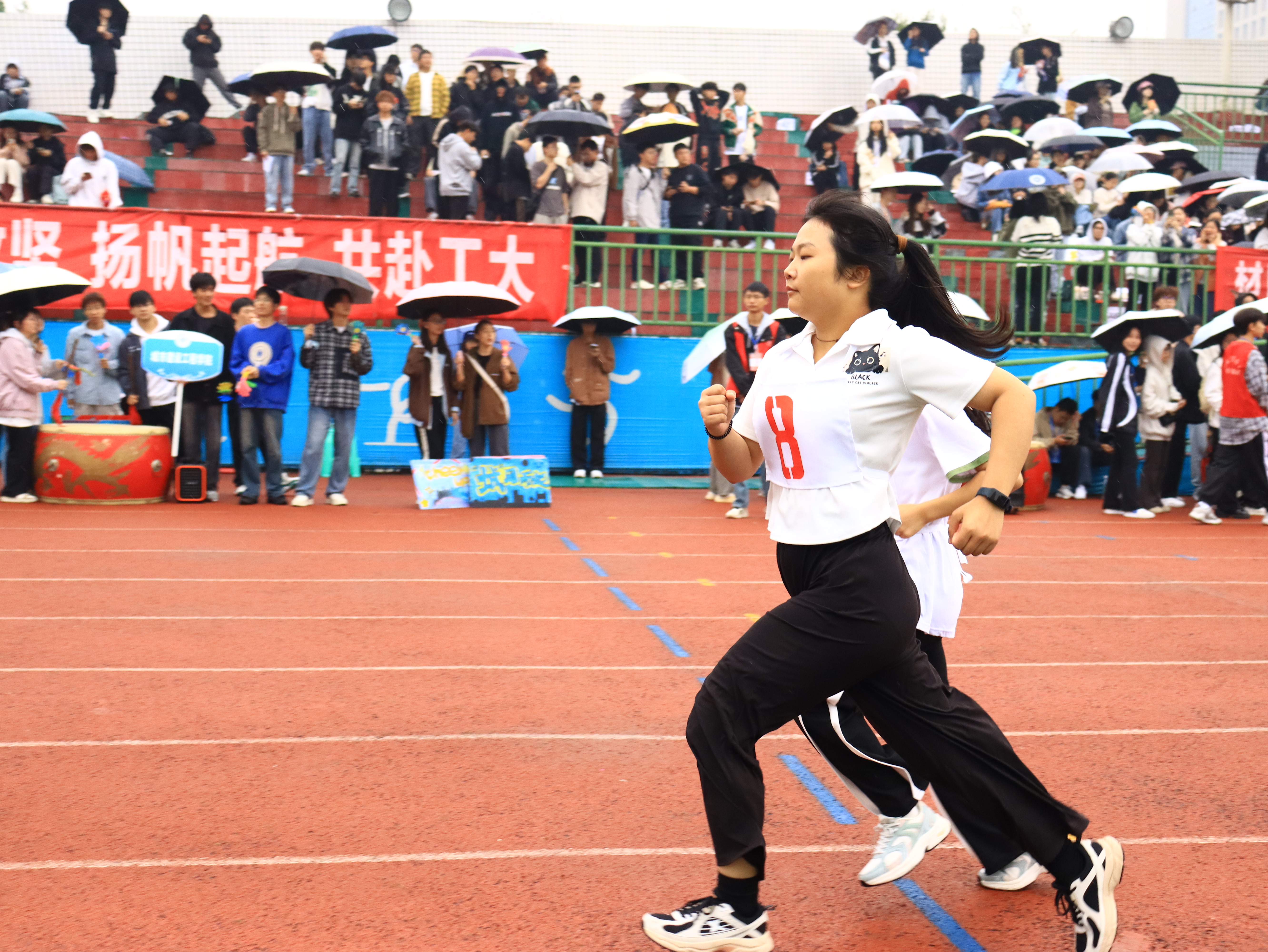 HRDS_1731372489181063974.jpg